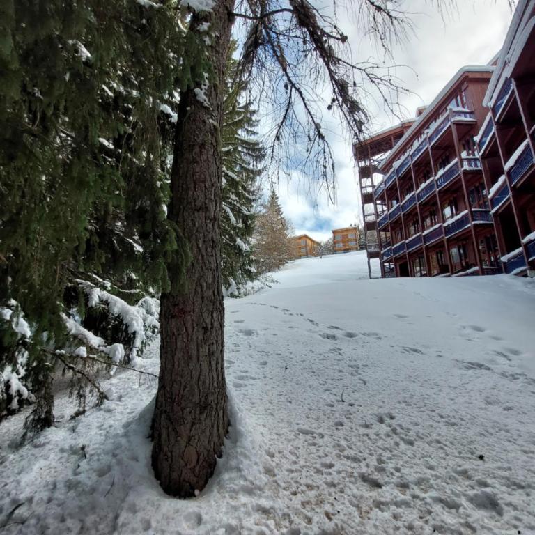 Cosy Duplex Arc1800 Aiguille Grive1 6 personnes - Appartement 2 Chambres - 46