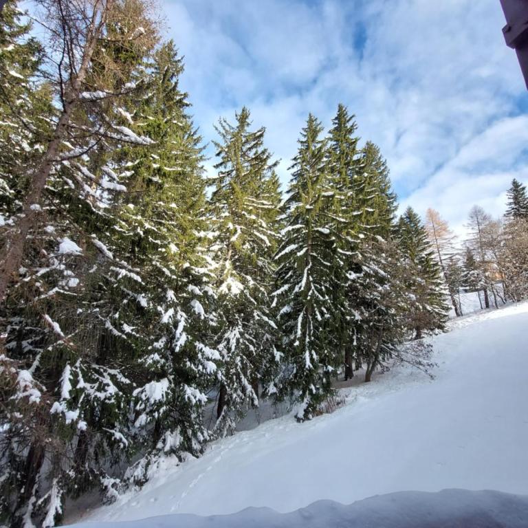 Cosy Duplex Arc1800 Aiguille Grive1 6 personnes - Appartement 2 Chambres - 43