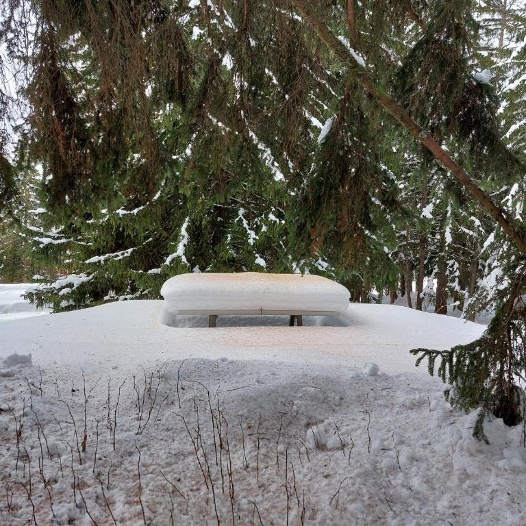 Cosy Duplex Arc1800 Aiguille Grive1 6 personnes - Appartement 2 Chambres - 47