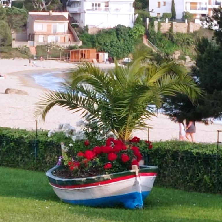 Bel appartement bord de plage - Apartment with Sea View - 25