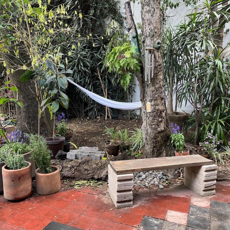 Artist's or couple's casita & studio - Casa con 1 dormitorio - 50