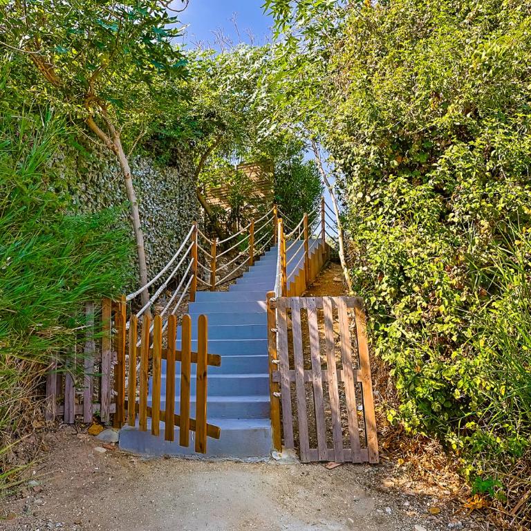 Villa Dedalo, Direct Sea Access - Villa - 8