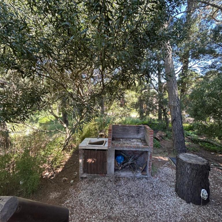 Azulita - Casa de 2 dormitorios - 17