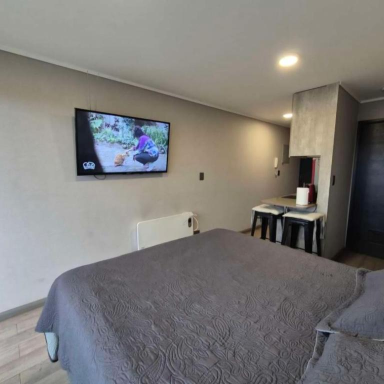 Departamento a pasos del Mall portal Temuco - One-Bedroom Apartment - 8