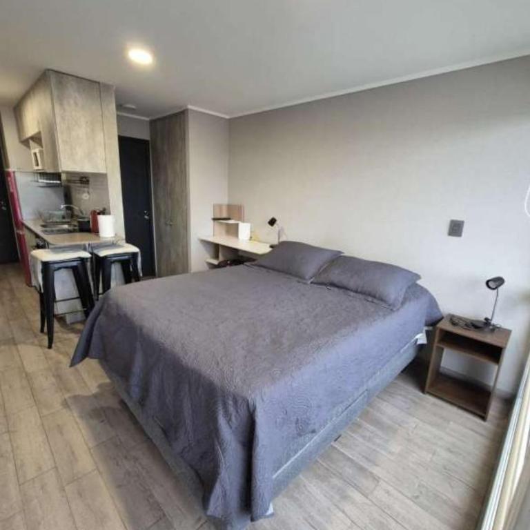 Departamento a pasos del Mall portal Temuco - One-Bedroom Apartment - 7