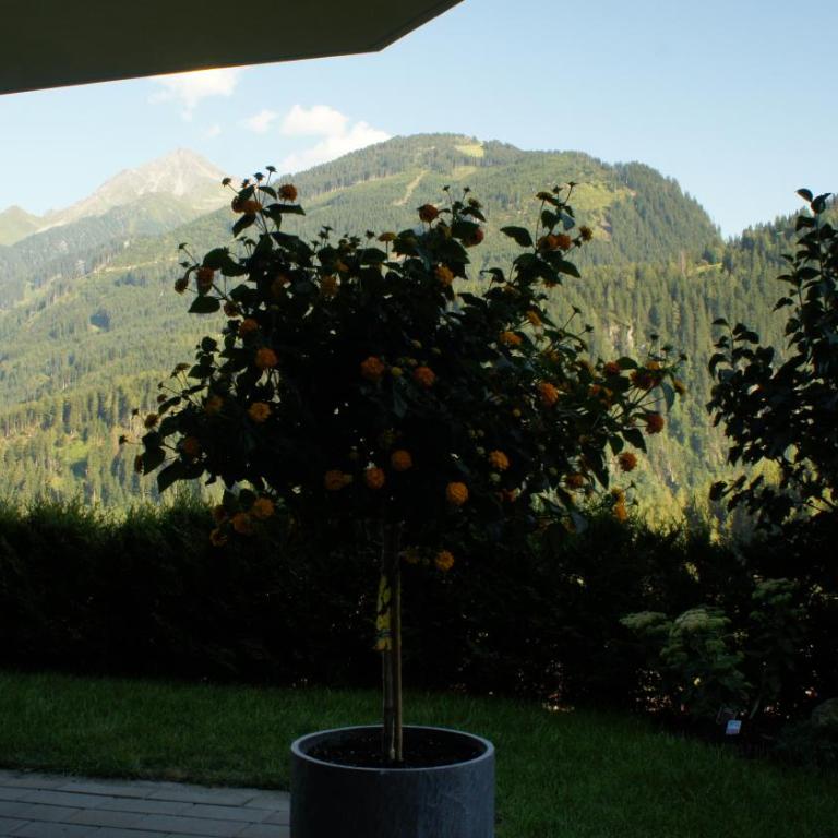 Bergblick - Apartment mit 2 Schlafzimmern - 42