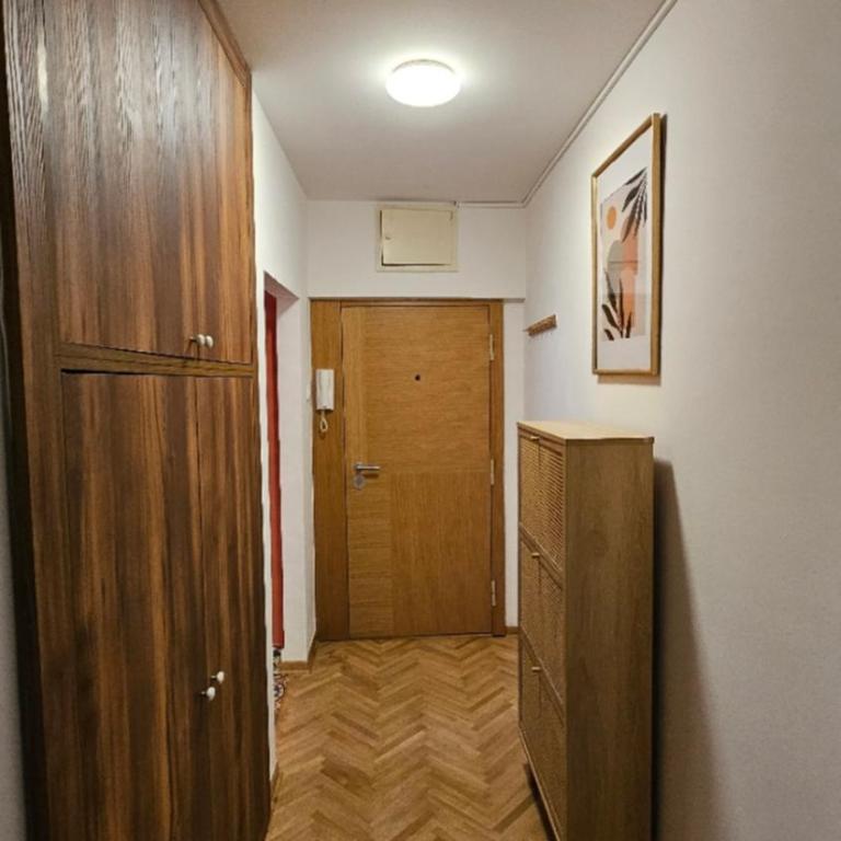 Cozy Terazije Apartment - Apartman sa 1 Spavaćom Sobom - 13