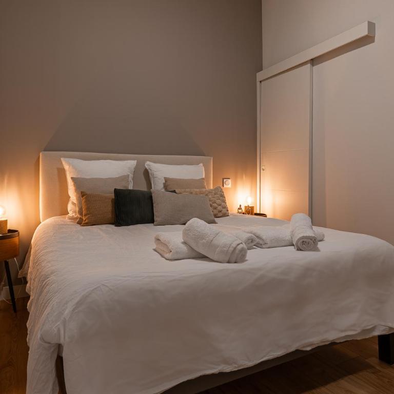L'Élégant Lormian - T2 Proche du Capitole - Appartement 1 Chambre - 5