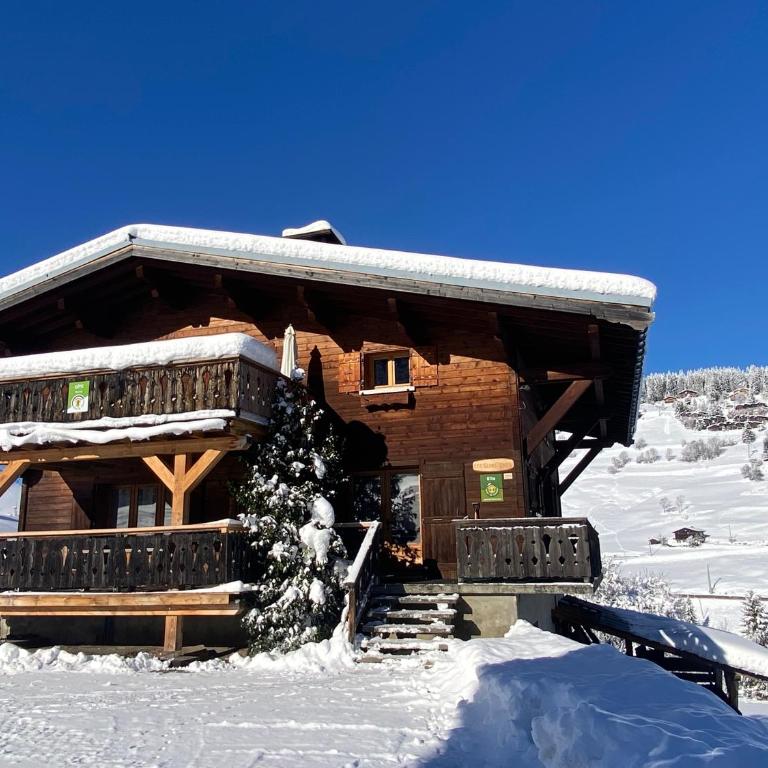 Les Georgières, 300m des pistes du Mont-Rond - Two-Bedroom Apartment with Balcony and Terrace - 28