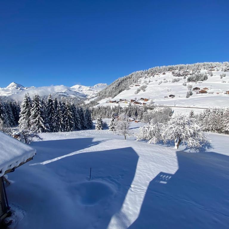 Les Georgières, 300m des pistes du Mont-Rond - Two-Bedroom Apartment with Balcony and Terrace - 36