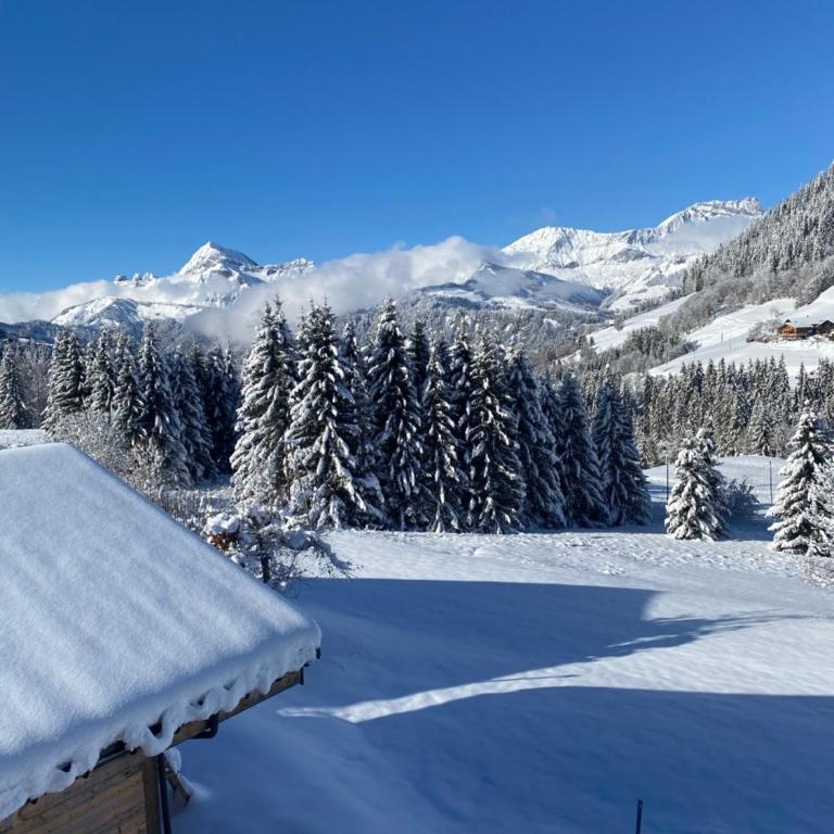Les Georgières, 300m des pistes du Mont-Rond - Two-Bedroom Apartment with Balcony and Terrace - 39