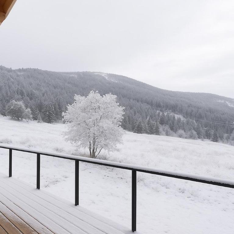 Chalet Prestige - Ski au pieds - Les Angles - Chalet - 21