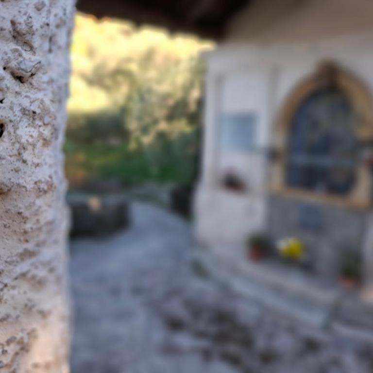 Madonna Dell'Aiuto True View Olivo - Appartamento con 2 Camere da Letto - 22