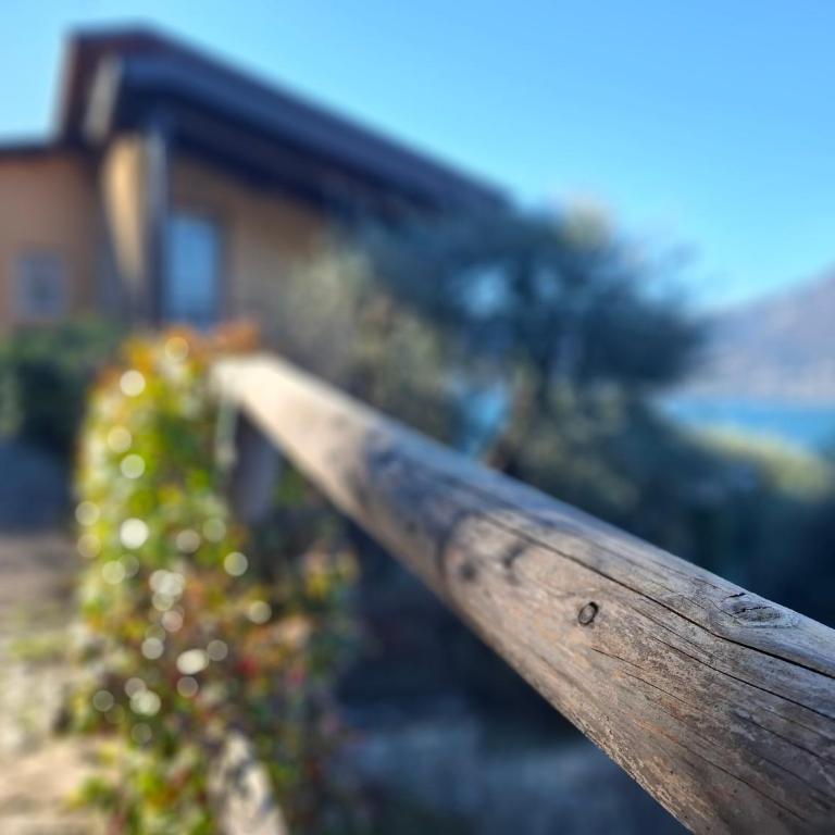 Madonna Dell'Aiuto True View Olivo - Appartamento con 2 Camere da Letto - 28