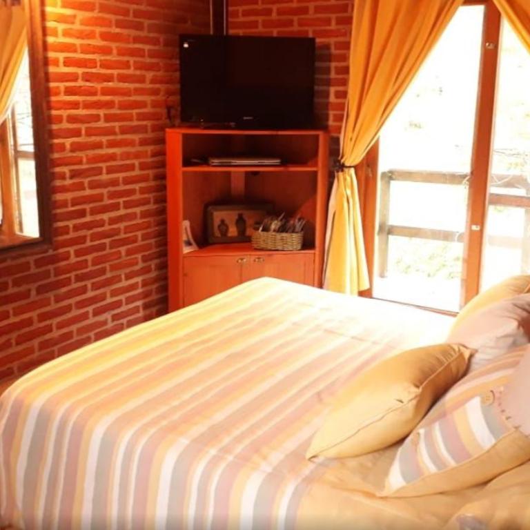 La Protegida del Bosque - Casa - 3