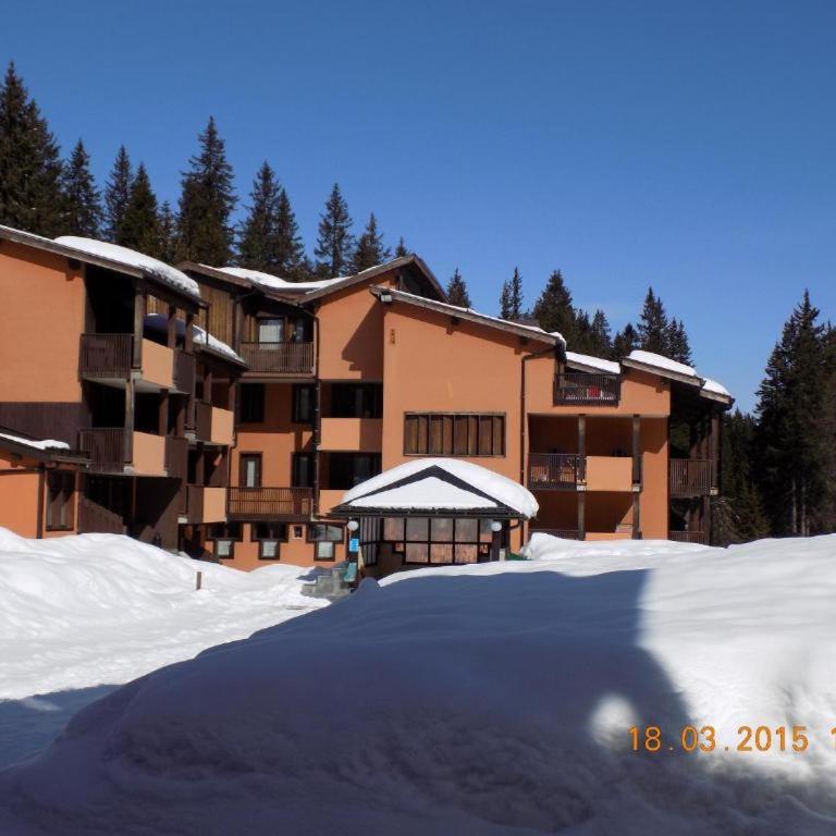 Casa rio falze' Madonna di Campiglio - One-Bedroom Apartment - 1