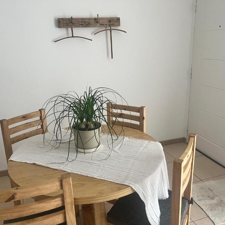 Departamento Las Marias - Apartamento de 1 dormitorio - 11