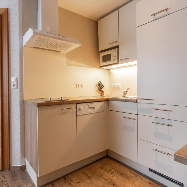 EDELWEISS Ladis - Panorama Apartments Next to Ski Lift - Penthouse - 12