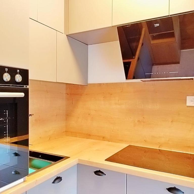 I&I Bubanj II - One-Bedroom Apartment - 8
