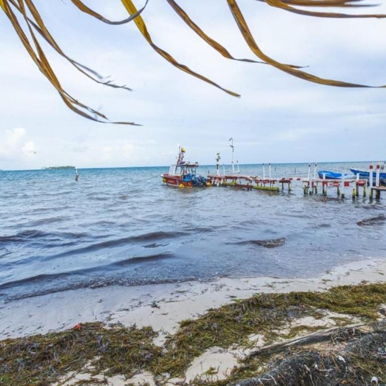 Apto Yeskol #3 - Apartamento de 1 dormitorio - 10