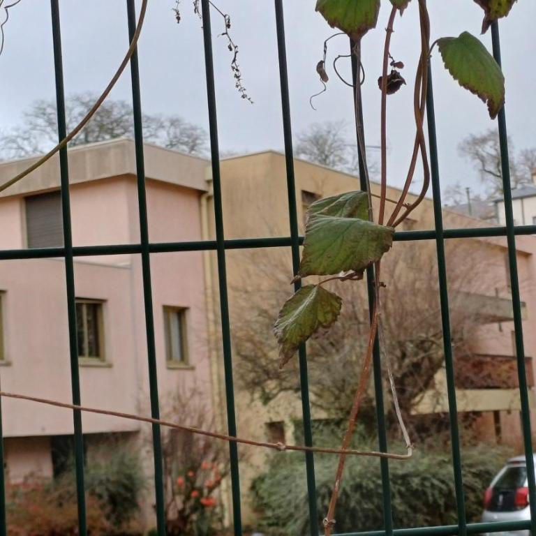 Meublé de tourisme 2* les Jardins de l Arquebuse - Appartement 1 Chambre - 16