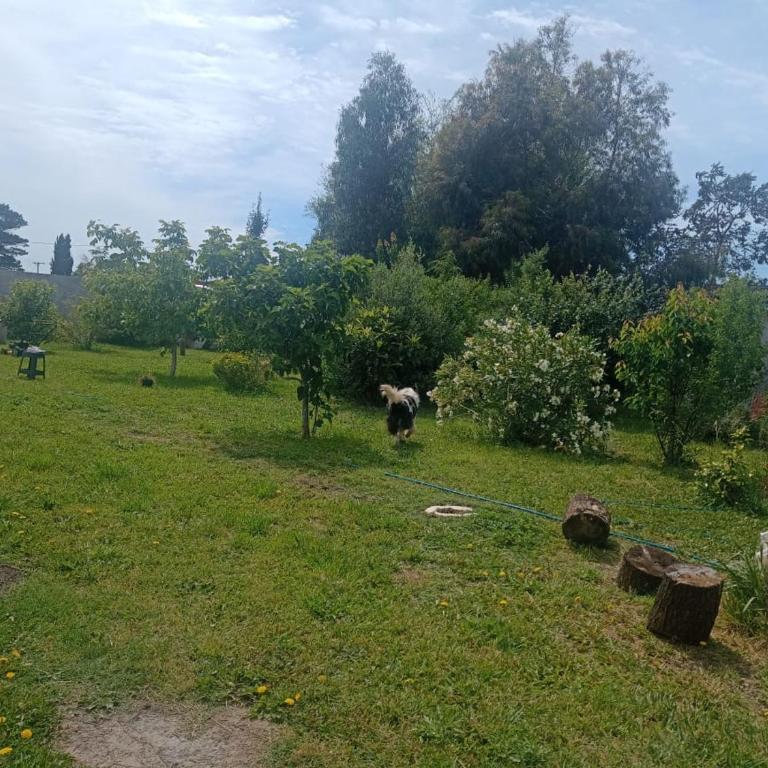 Casa chapadmalal - Casa con 1 dormitorio - 14