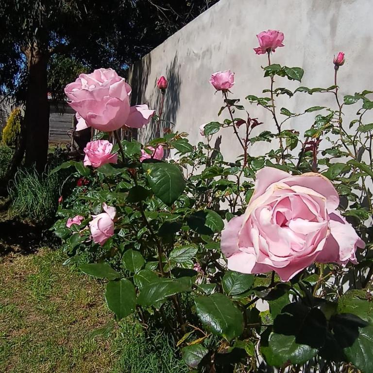 Casa chapadmalal - Casa con 1 dormitorio - 20