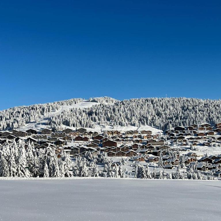 Studio lumineux station Les Saisies 100 M des pistes et ESF pour été comme hiver - Appartamento con 1 Camera da Letto - 23
