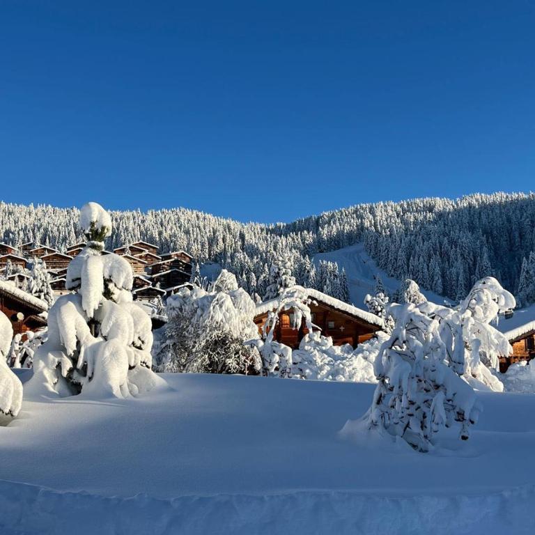Studio lumineux station Les Saisies 100 M des pistes et ESF pour été comme hiver - Appartamento con 1 Camera da Letto - 24