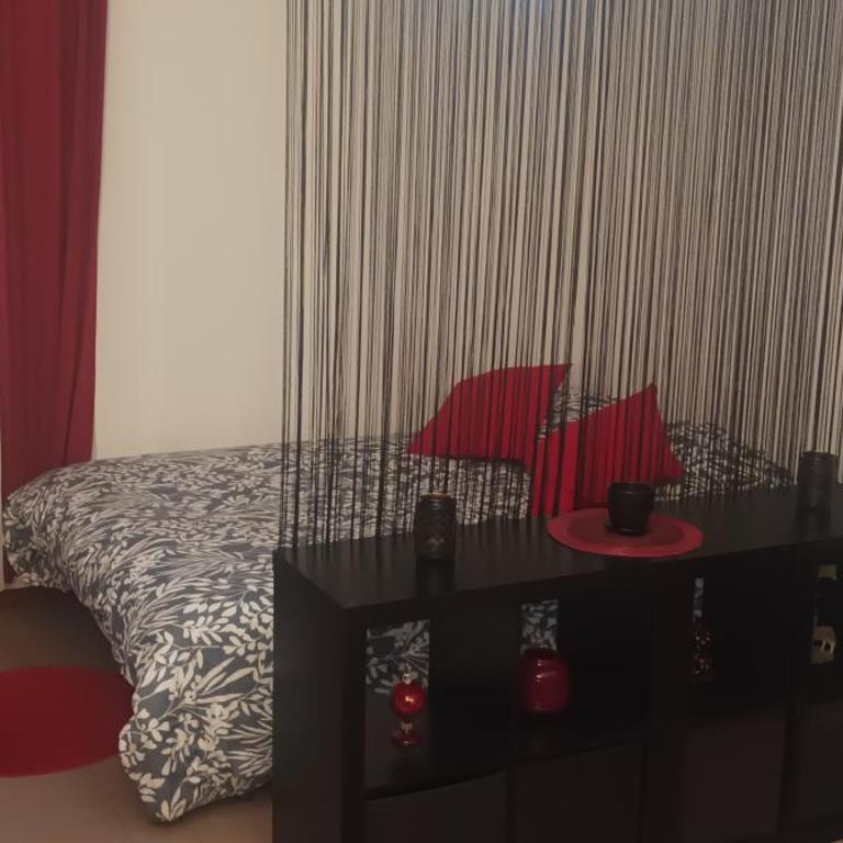 F1 Cozy & Stylish in Hyper-Centre - Appartement 1 Chambre - 1