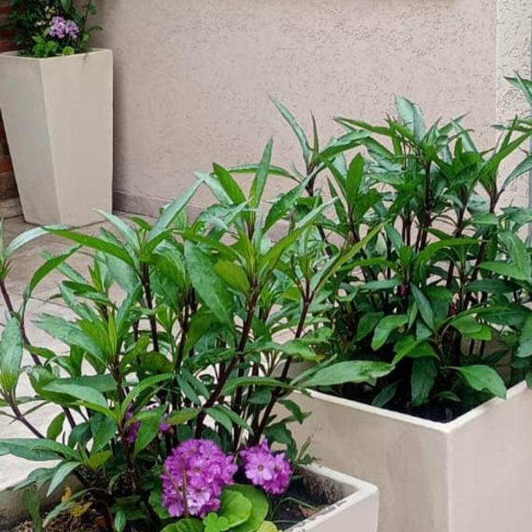 Atenea - One-Bedroom Apartment - 12