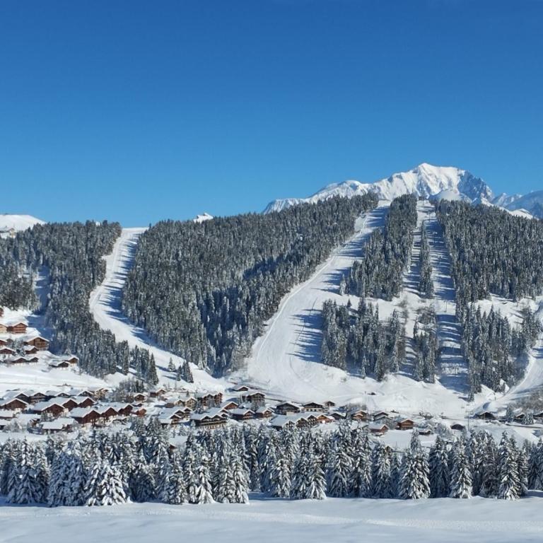 Les Saisies côté Bisanne appartement dans chalet LE Népal - Apartment mit 1 Schlafzimmer - 7