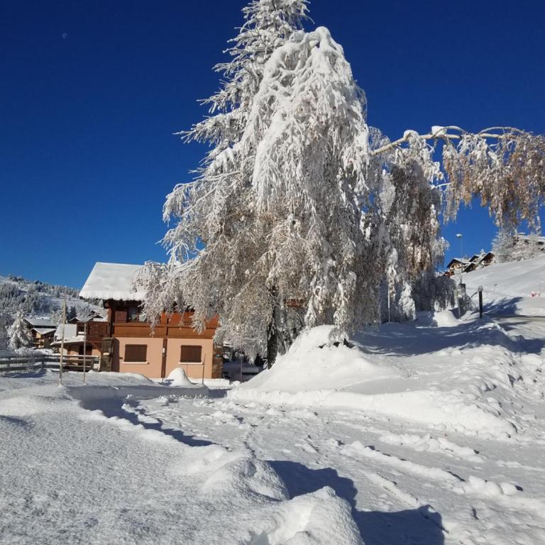 Les Saisies côté Bisanne appartement dans chalet LE Népal - Apartment mit 1 Schlafzimmer - 11