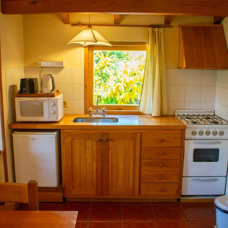 Hosteria y Cabañas Posada Quinen - Bungalow de un dormitorio - 4