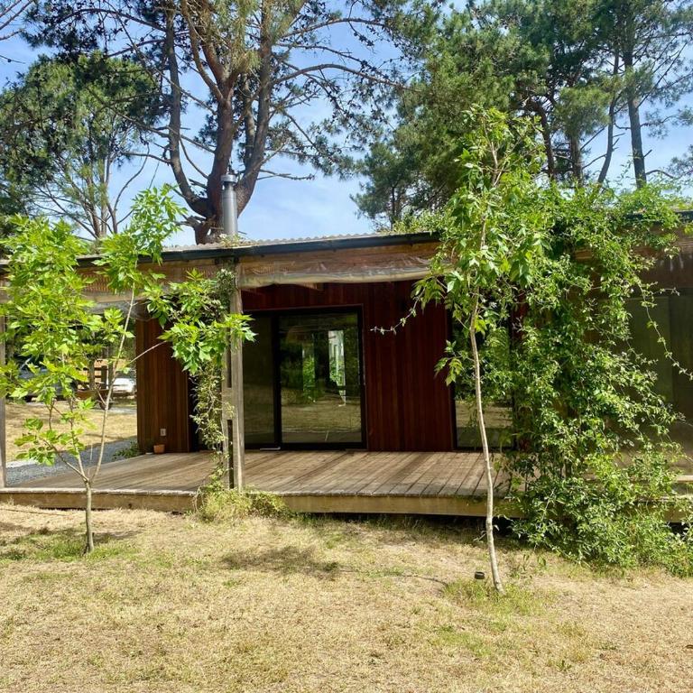 Hermosa casa en el bosque - Casa con 1 dormitorio - 11