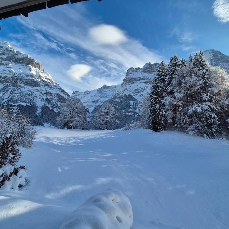 ABO - Boutique Apartment - Chalet Grindelwaldgletscher - Appartement 1 Chambre - 18