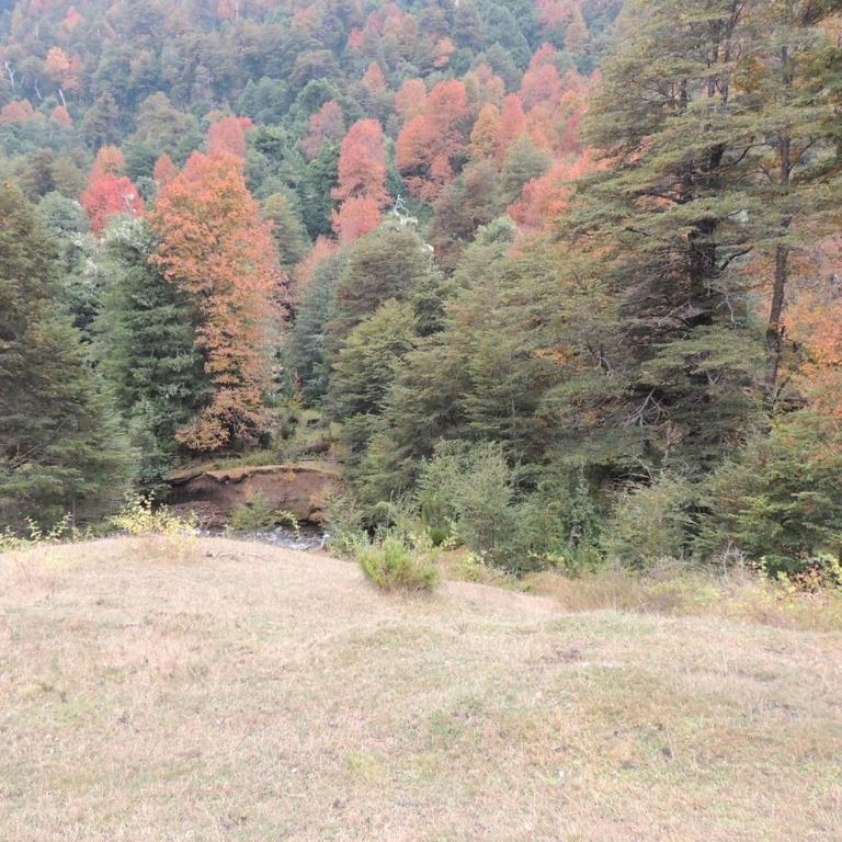 10 hectáreas de montaña con cabaña, senderos, saltos de agua y más - Three-Bedroom Chalet - 2