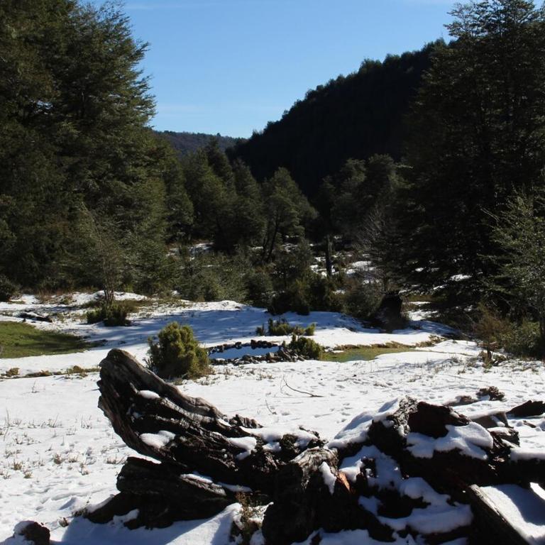 10 hectáreas de montaña con cabaña, senderos, saltos de agua y más - Three-Bedroom Chalet - 18