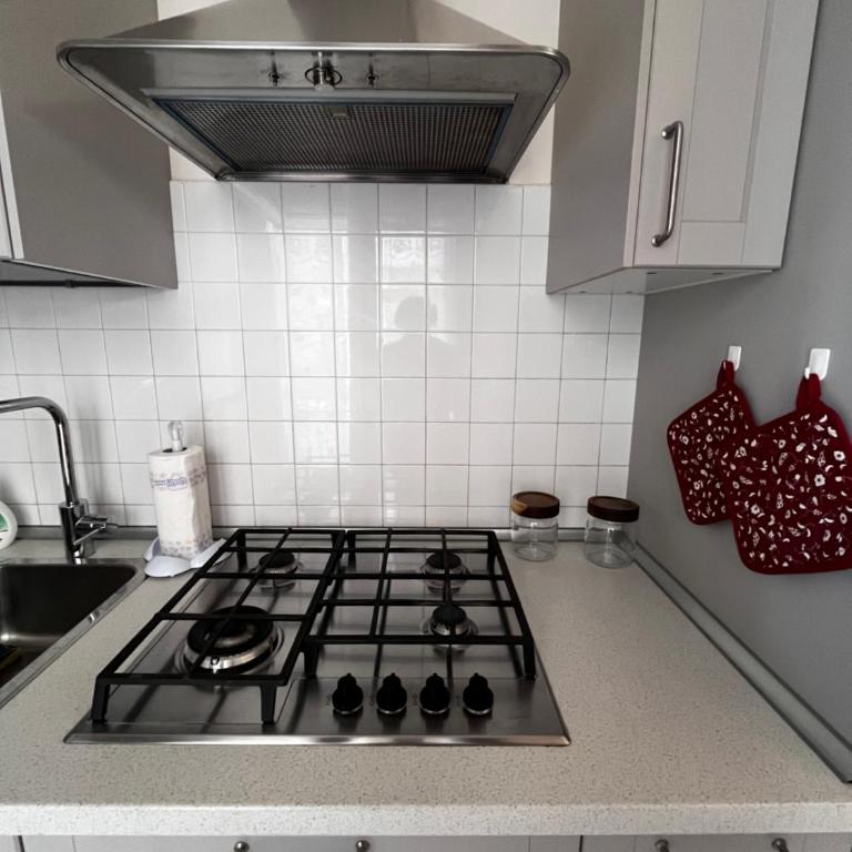 Grey Heron's Nest, il tuo nido a Vicenza - Appartamento con 1 Camera da Letto - 8