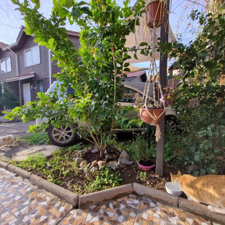 Montaña - Casa con 1 dormitorio - 4