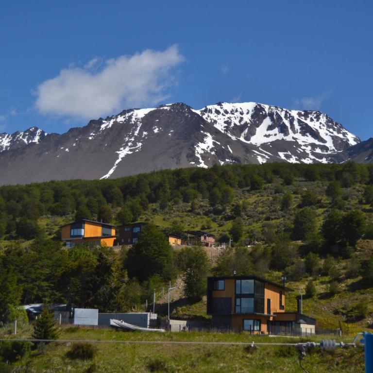 Boho Minimalist Apartment with Natural Touches - Apartamento de 1 dormitorio - 16