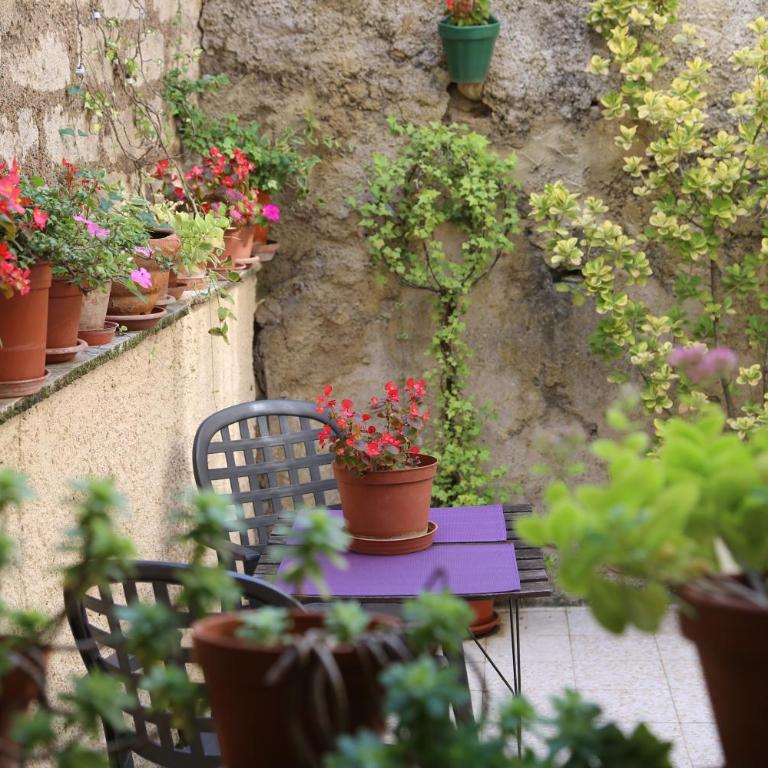 Terrasse fleurie - Appartement avec Terrasse - 1