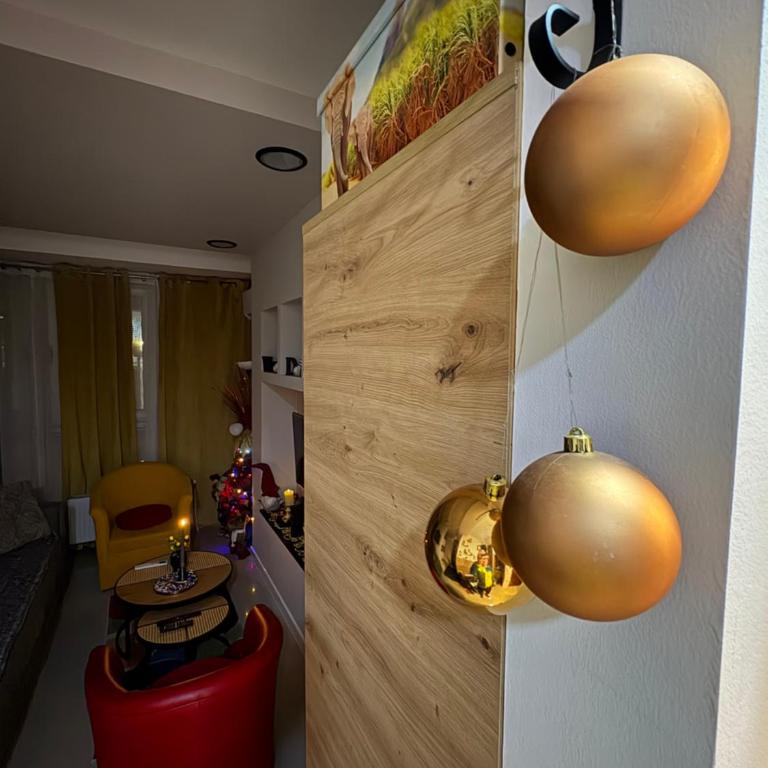 Family Apartment - One-Bedroom Apartment - 22
