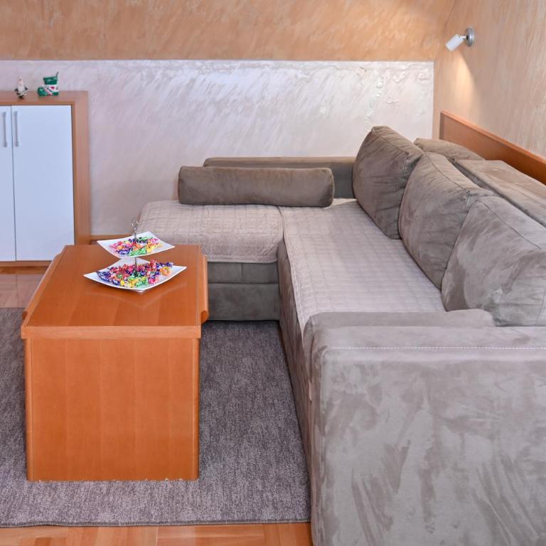 Apartman Sakovic - Apartman sa 1 Spavaćom Sobom - 11