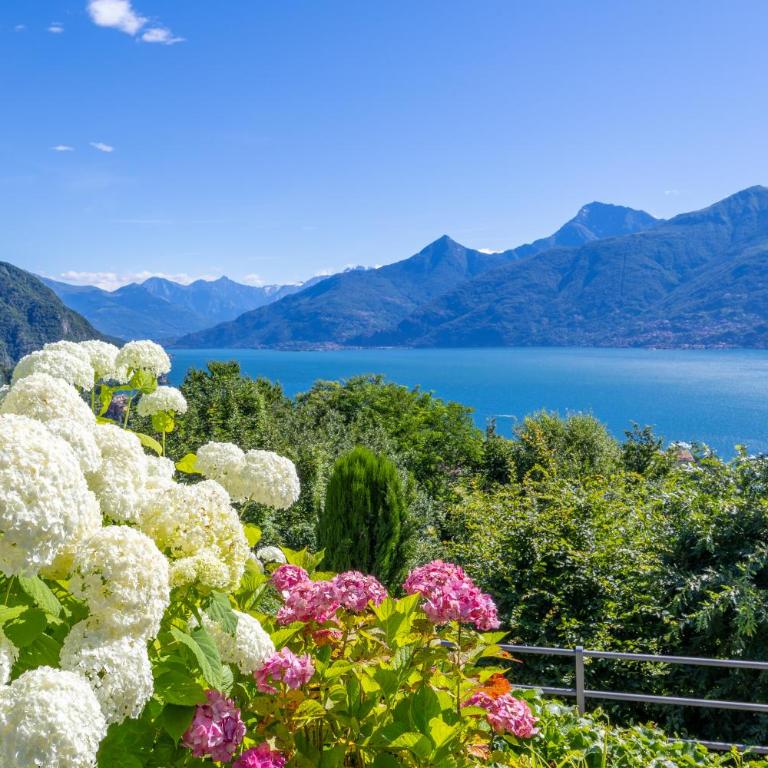 Apartment Maria - Menaggio - Appartamento con 1 Camera da Letto - 20
