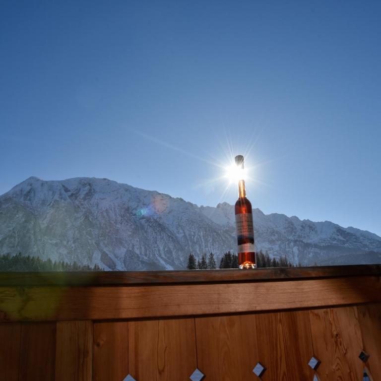 Grimmingpanorama mit Sauna by Salzkammergood Living - Appartement 1 Chambre - 18
