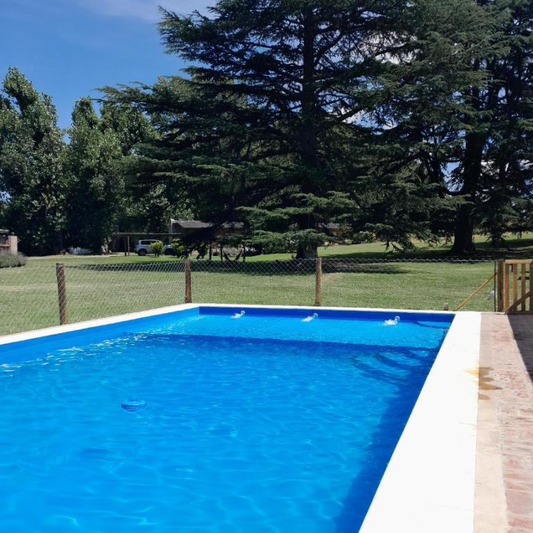 Cabañas Cuncumen - Cabaña con vistas al jardín - 5