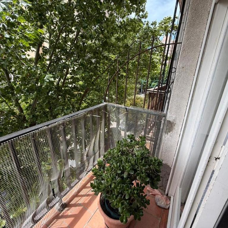 Hermoso dpto en peatonal - Apartamento de 2 dormitorios - 2
