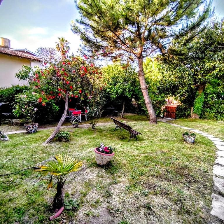 Departamentos Chelson centro depto 1 - Apartamento de 1 dormitorio - 14