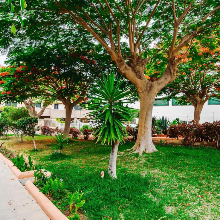 HDFM Collection - Oasis Costa Adeje - Apartamento de 3 dormitorios Premium - 47